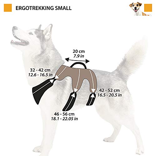 Ferplast Arnés ergonómico para Perros ERGOTREKKING P Small, 6 Cierres con microrregulación con Suave Acolchado, Reflectante, A: de 32 a 42 cm - B: de 46 a 56 cm - C: de 42 a 52 cm - L 20 cm Negro