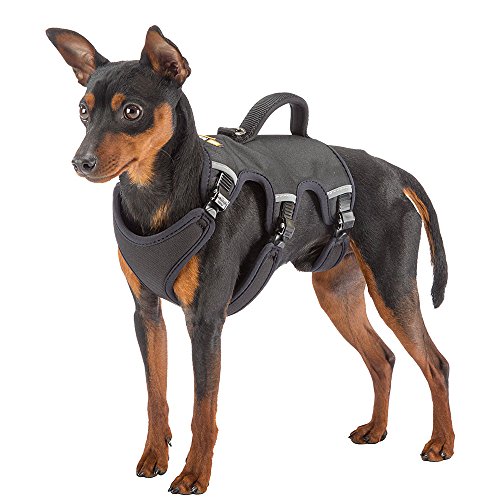 Ferplast Arnés ergonómico para Perros ERGOTREKKING P Small, 6 Cierres con microrregulación con Suave Acolchado, Reflectante, A: de 32 a 42 cm - B: de 46 a 56 cm - C: de 42 a 52 cm - L 20 cm Negro