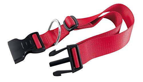 FERPLAST Collar Nylon Club C 15 44 Rojo