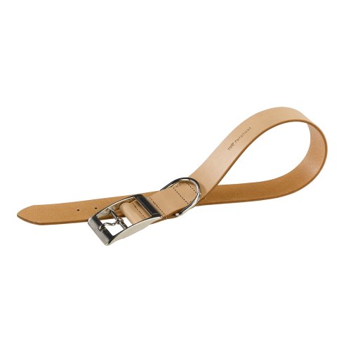 Ferplast Natural BE C20/43 - Collar para Perro, 35-43 cm/20 mm, Color Beige