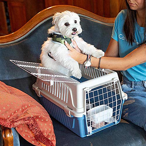 Ferplast Transportín para Perros Pequeños y Gatos hasta 5 Kg Atlas 10 Open, Almohada y Cuenco Incluidos, Techo Aprible