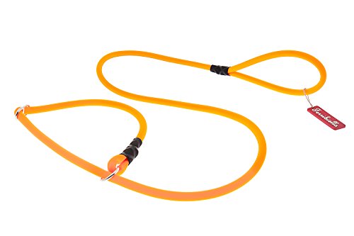 Ferribiella HI724-AR Fun Silicon Leash Plus Collar, 1 x 165 cm, M, Matte Orange