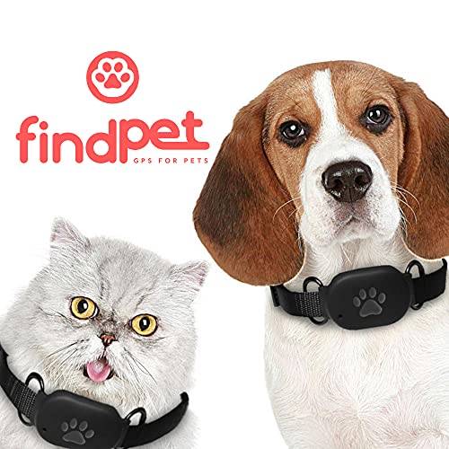 findPet - Localizador GPS para Gatos y Perros. El más Ligero 20gr. [GPS Mini] Collar GPS para Perros y Gatos con Ubicación en Tiempo Real y Seguimiento de Actividad 24h