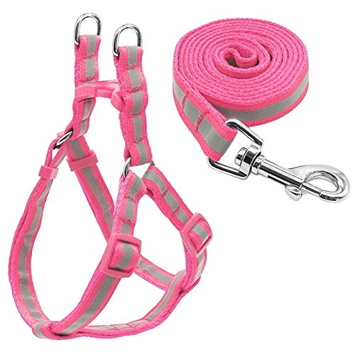 Flashing Juego De Arnés Y Correa para Perros Pequeños, Chaleco Y Correas Reflectantes para Perros, Arnés para Cachorros, para Bulldog, Chihuahua, Yorkshire (Color : Pink, Size : Small)