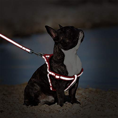 Flashing Juego De Arnés Y Correa para Perros Pequeños, Chaleco Y Correas Reflectantes para Perros, Arnés para Cachorros, para Bulldog, Chihuahua, Yorkshire (Color : Pink, Size : Small)