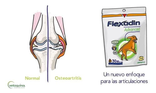 Flexadin Advanced Original - 60 unidades.