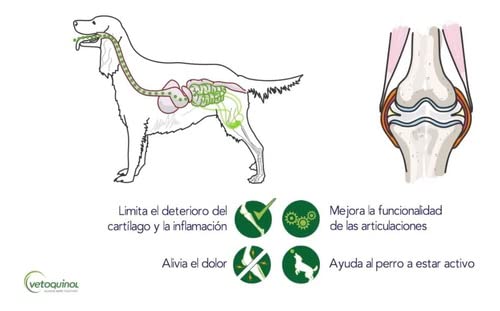 Flexadin Advanced Original - 60 unidades.