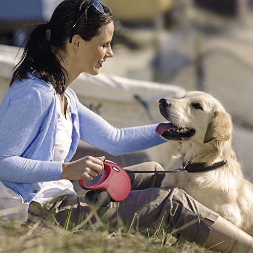 Flexi Correa para Perro retráctil clásica (Cinta), 4,9 m, pequeña, Color Negro