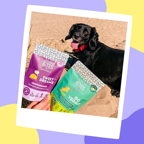 FlooppBITES Chuches para perros - Snacks para perro - Galletas perro 100% Naturales - Premios y golosinas - Alimento complementario perros - Sweet Dreams x 5 Pack (Total 500gr.)