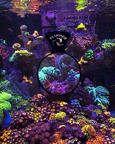 FL!PPER DeepSee - Lupa magnética para acuario, lupa de peces, lupa magnética, ideal para fotografía, accesorios para tanque de peces, 4 pulgadas