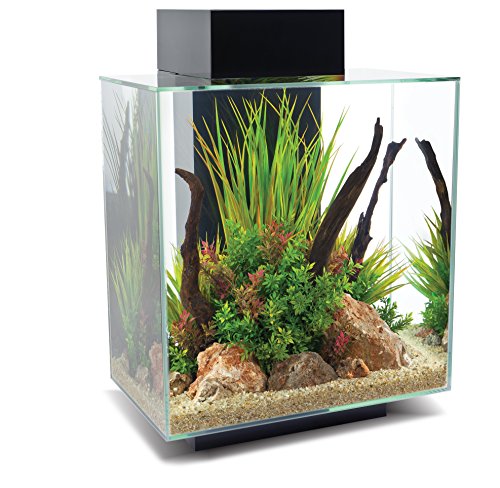 Fluval Acuarios 1 Unidad 250 g