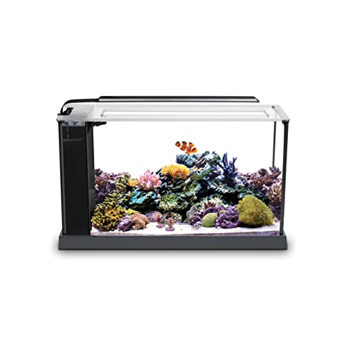 Fluval Sea Evo V 10528A1 - Kit de acuario, color negro, 5 galones, 10528A1