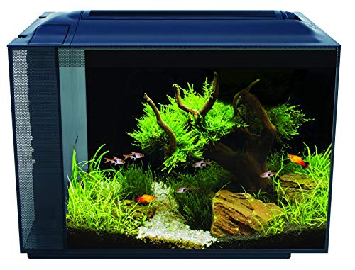 Fluval Spec XV - Acuario de 60 l, Color Negro