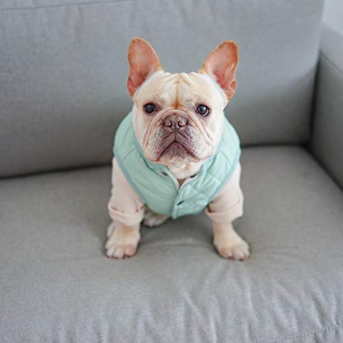 Fmiljiaty Ropa Perros Chaleco para Perros con Botones Chaleco Bulldog francés Chaleco Bulldog inglés Ropa para Perros Chaqueta Caliente Moda otoño Invierno