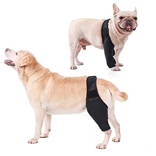 Foern Soporte para Piernas para Perros, Rodilleras Ajustables para Perros para Lesiones en el Codo Protector, Cubierta Protectora para Las Piernas Delanteras y Traseras,Black,M