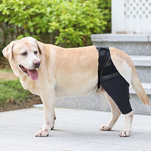 Foern Soporte para Piernas para Perros, Rodilleras Ajustables para Perros para Lesiones en el Codo Protector, Cubierta Protectora para Las Piernas Delanteras y Traseras,Black,M