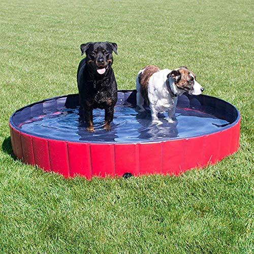 Forever Speed Piscina perros Gatos para perros grandes Portátil Bañera Baño de Mascota Plegable Piscina de Baño Doggy Pool 160 x 30 cm Rojo