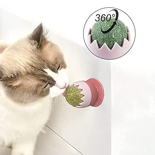 Foreverup Catnip Giratorio 2 Piezas, Juguete de Bolas de Hierba gatera para Gatos, Juego de Bolas de Hierba gatera para Gatos Cuidado Dental Natural para Gatos, Muy Adecuado para Gatitos