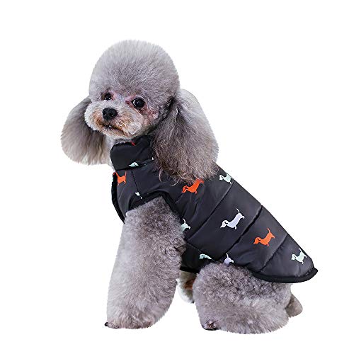 Fossrn Invierno Ropa Perro Pequeño Chihuahua Yorkshire Abrigo de Chaqueta Mascota Chaleco de Botón S~ XXL