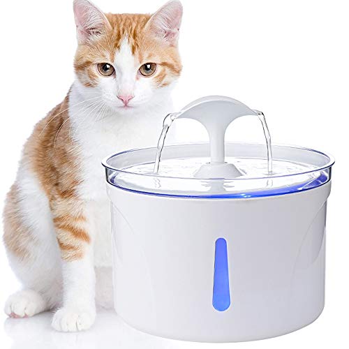 Foutains - Dispensador de Agua eléctrico para Gatos y Perros, Queta 2,5 l con Filtro higiénico de 3 Piezas, Temperatura Constante, Cuenco de Agua para Gatos con Ventana de Nivel de Agua y Noche