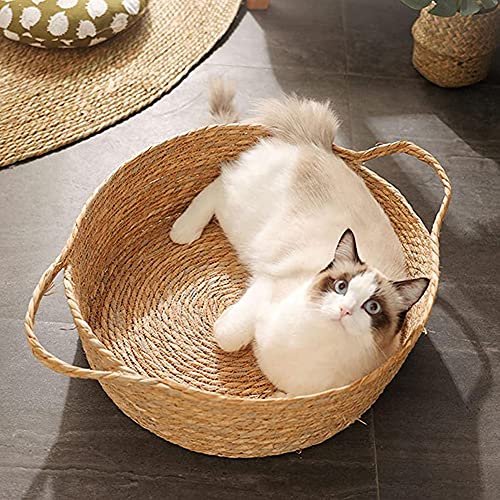 Fox Cama para gato redonda con fondo plano para refugio, jaula de mimbre tejida a mano, lavable para jugar en casa, cesta de arena, perrera, juguete (M)