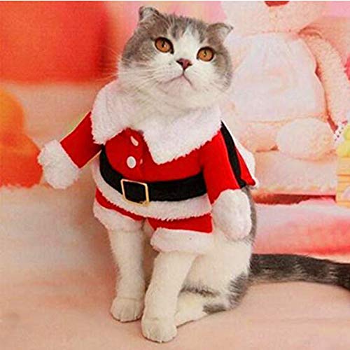 fpengfashion Mascota Navidad Santa Disfraces con sombrero Perro Lindo Vacaciones Cosplay Traje Claus Ropa Cachorro Invierno Abrigo Caliente