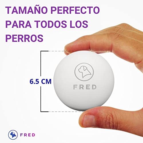 Fred Premium - Pelota para perros (caucho natural, muy robusta, 6,5 cm de diámetro, incluye práctica bolsa de almacenamiento)