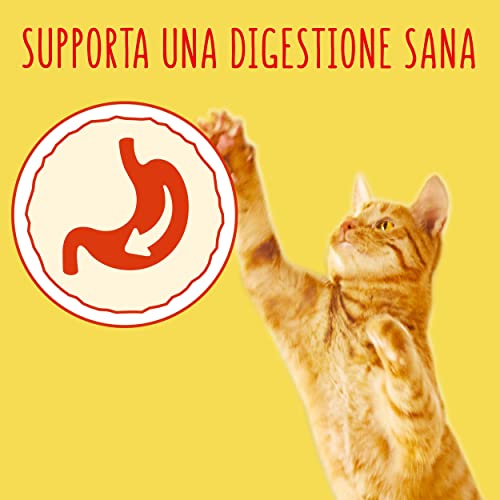 Friskies Adult pienso para el Gato, con salmón y Verduras aggiunte, 400 g – Paquete de 20 Unidades