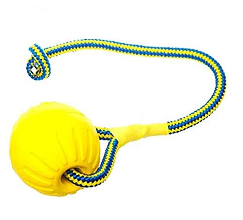 Froiny Bola Perro con Cuerda Pelota De Entrenamiento De Captación Caido Juguetes Pelota para Perros Pequeños Dientes De Limpieza Aburrimiento Chew Toys