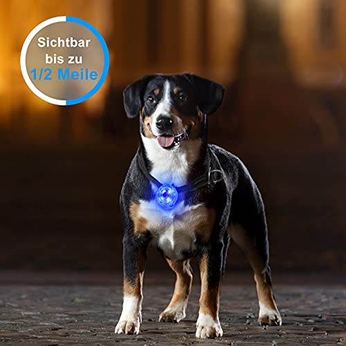 Fttouuy Luz intermitente LED de seguridad para perros y gatos, LED colgante USB recargable para perro, 3 modos intermitentes, luces de seguridad impermeables para mascotas