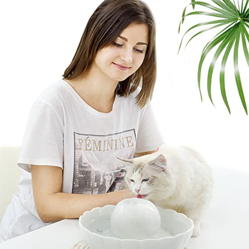 Fuente de Agua automática para Perros y Gatos, 2.1L/74 oz Cerámica dispensador Fuente, Fuente para Perros y Gatos con Ventana de Nivel de Agua LED, Bomba Agua USB Ultra Silenciosa, Visió(Color:blanco)