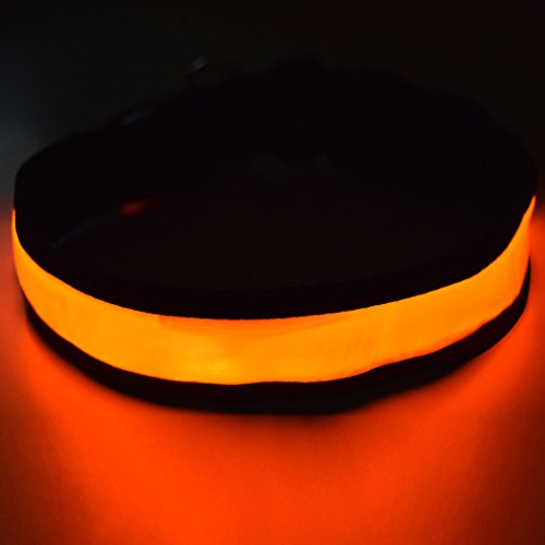 Fun Pets Collar de Seguridad para Perros con LED Recargable Ultra Brillante con Gran Visibilidad y Seguridad Mejorada Medio (40cm - 50cm / 15.7" - 19.7") Naranja