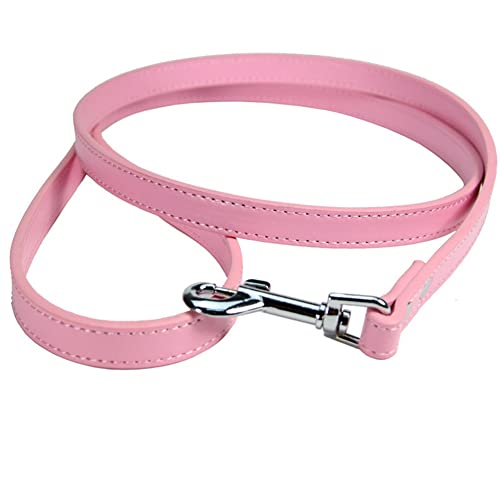 FUNAT Collar de Perro de Cuero + Juego de Cuerdas de Tracción, Traje con Cuello de Cordón Adecuado para Gatos y Perros Pequeños