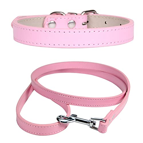 FUNAT Collar de Perro de Cuero + Juego de Cuerdas de Tracción, Traje con Cuello de Cordón Adecuado para Gatos y Perros Pequeños