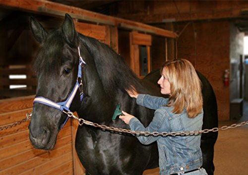 Furminator Caballos deshedding Herramienta Equine perfecto para eliminar Abrigo de invierno