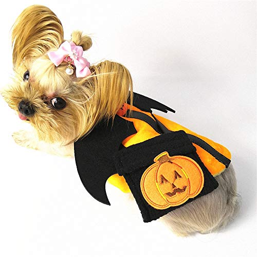 FZ FUTURE Ropa para Mascotas de Halloween, Perros Calabaza Halloween Traje Ropa, Divertido Disfraz de Perrito para Halloween Perro Gato Navidad Pascua,1pcs,M