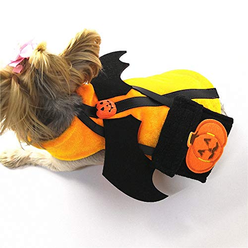 FZ FUTURE Ropa para Mascotas de Halloween, Perros Calabaza Halloween Traje Ropa, Divertido Disfraz de Perrito para Halloween Perro Gato Navidad Pascua,1pcs,M