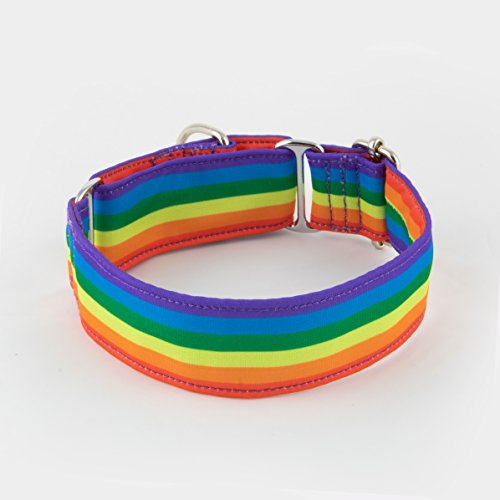 Galguita Amelie 4cm Ancho Talla L (40cm - 49cm), Collar para Perro antiescape. Arcoiris.