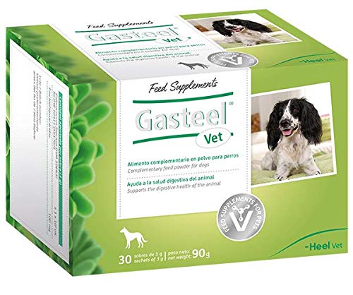 Gasteel Vet Alimento Complementario En Polvo para Perros. Simbiótoco (Probiótico Más Prebiótico) Natural Que Ayuda A La Salud Digestiva del Animal. Sabor Bacon. 90 g