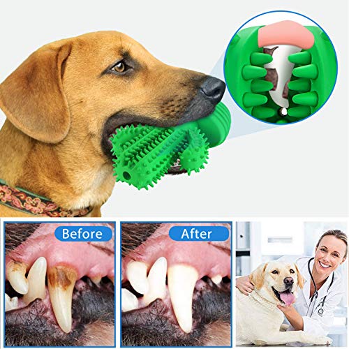 G.C Juguetes para Perros, Perro Morder Juguete, Cepillo de Dientes, Mascotas Masticar Chirriantes Juego, Cactus Sonido Interactivos Inteligencia Accesorios para Cachorro de Pequeños Medianos y Grandes