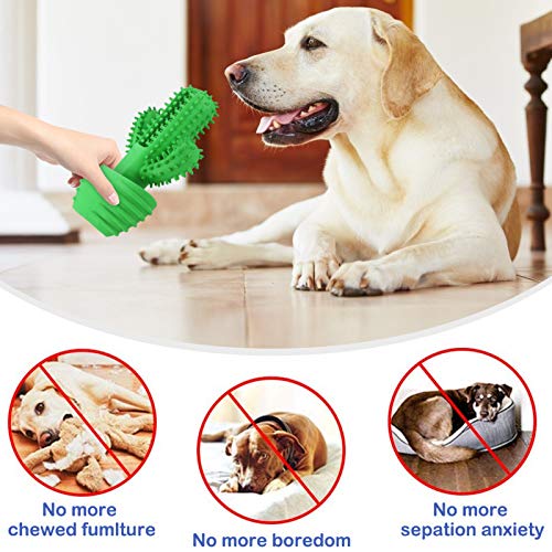 G.C Juguetes para Perros, Perro Morder Juguete, Cepillo de Dientes, Mascotas Masticar Chirriantes Juego, Cactus Sonido Interactivos Inteligencia Accesorios para Cachorro de Pequeños Medianos y Grandes