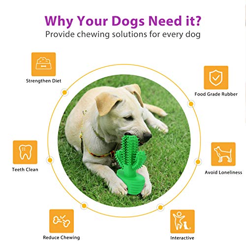 G.C Juguetes para Perros, Perro Morder Juguete, Cepillo de Dientes, Mascotas Masticar Chirriantes Juego, Cactus Sonido Interactivos Inteligencia Accesorios para Cachorro de Pequeños Medianos y Grandes