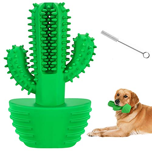 G.C Juguetes para Perros, Perro Morder Juguete, Cepillo de Dientes, Mascotas Masticar Chirriantes Juego, Cactus Sonido Interactivos Inteligencia Accesorios para Cachorro de Pequeños Medianos y Grandes