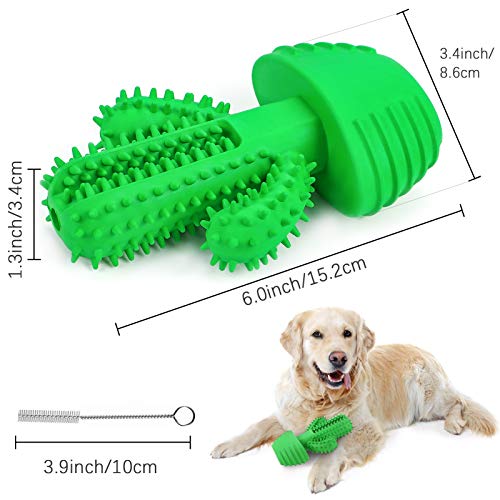 G.C Juguetes para Perros, Perro Morder Juguete, Cepillo de Dientes, Mascotas Masticar Chirriantes Juego, Cactus Sonido Interactivos Inteligencia Accesorios para Cachorro de Pequeños Medianos y Grandes