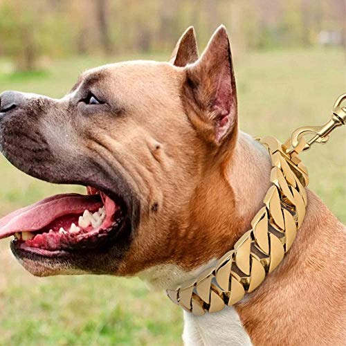 GCSEY Collar De Perro Collares De Acero Cadena Perro Hierro, 30 Mm De Ancho, Collar De Perro del Oro 18K, Mastín Caslow Bully Dogo Perro Doberman Pesados Perro Cubano, Mejor para Perros Grandes,65cm