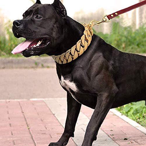 GCSEY Collar De Perro Collares De Acero Cadena Perro Hierro, 30 Mm De Ancho, Collar De Perro del Oro 18K, Mastín Caslow Bully Dogo Perro Doberman Pesados Perro Cubano, Mejor para Perros Grandes,65cm