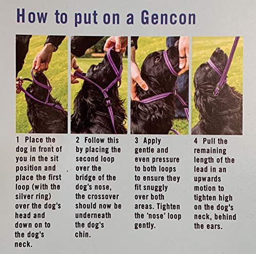 Gencon Collar todo en uno, no se engancha para evitar tirones, se adapta a todos los perros (café/crema, diestros).