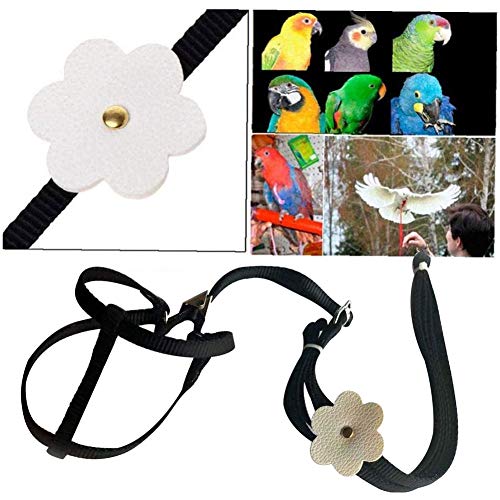 Genrics Parrot Leash Flying Arnés y Correa Ajustable Arnés y Correa de Ave Correa Volar Anti Pequeño Tamaño Aves Anti Mordida Mascotas Aves Cinturón Cuerda de Entrenamiento Aire Libre arnés y Correa