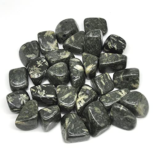 GGXXS Decoraciones al Aire Libre para Jardines de Tanque Crisantemo Natural Circuló Piedras Cristales a Granel Reiki Pulidos Piedras Gems Gem Crish Aquarium Minerales (Color : Negro, Size : 500g)