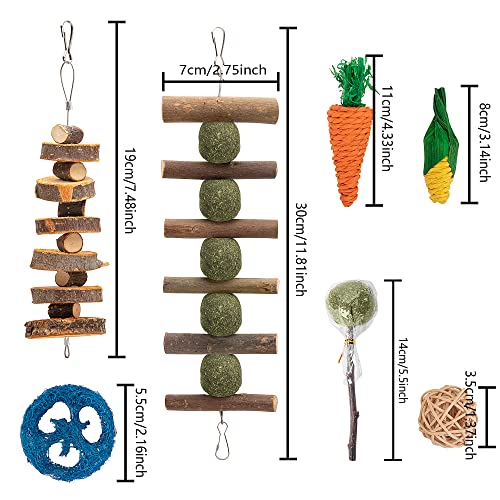 GIONAR 18 PCS Juguetes para Masticar Conejos, Juguete de Conejo, Juguete de Masticar para Dientes de Molienda para Conejos, para Conejos, Chinchillas, Hámsters, Cobayas